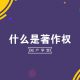 著作权的特征及其保护的对象